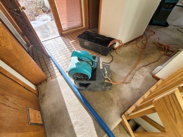 Best Local water damage restoration  in Bellflower, CA