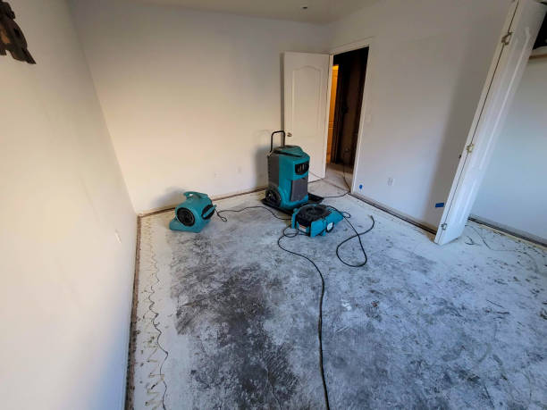 Best Water damage contractors near me  in Bellflower, CA