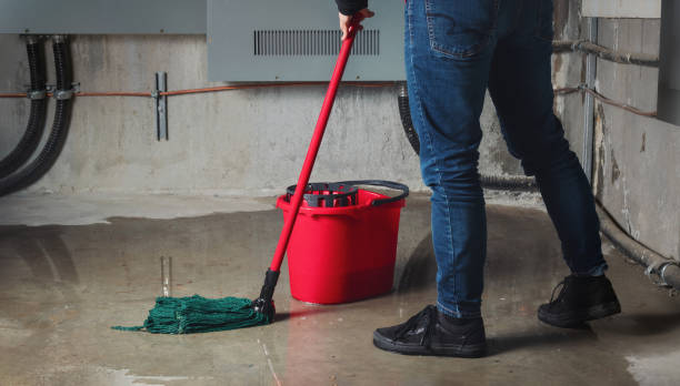 Best 24/7 water damage repair  in Bellflower, CA