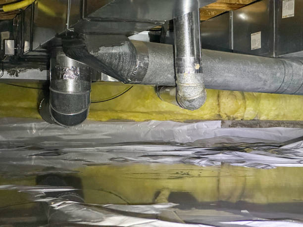 Best Water damage restoration near me  in Bellflower, CA
