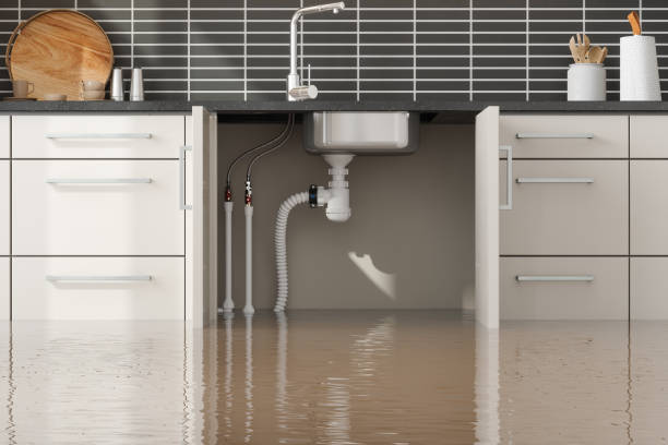 Best Ceiling water damage repair  in Bellflower, CA