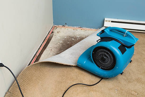 Best Flood damage cleanup  in Bellflower, CA